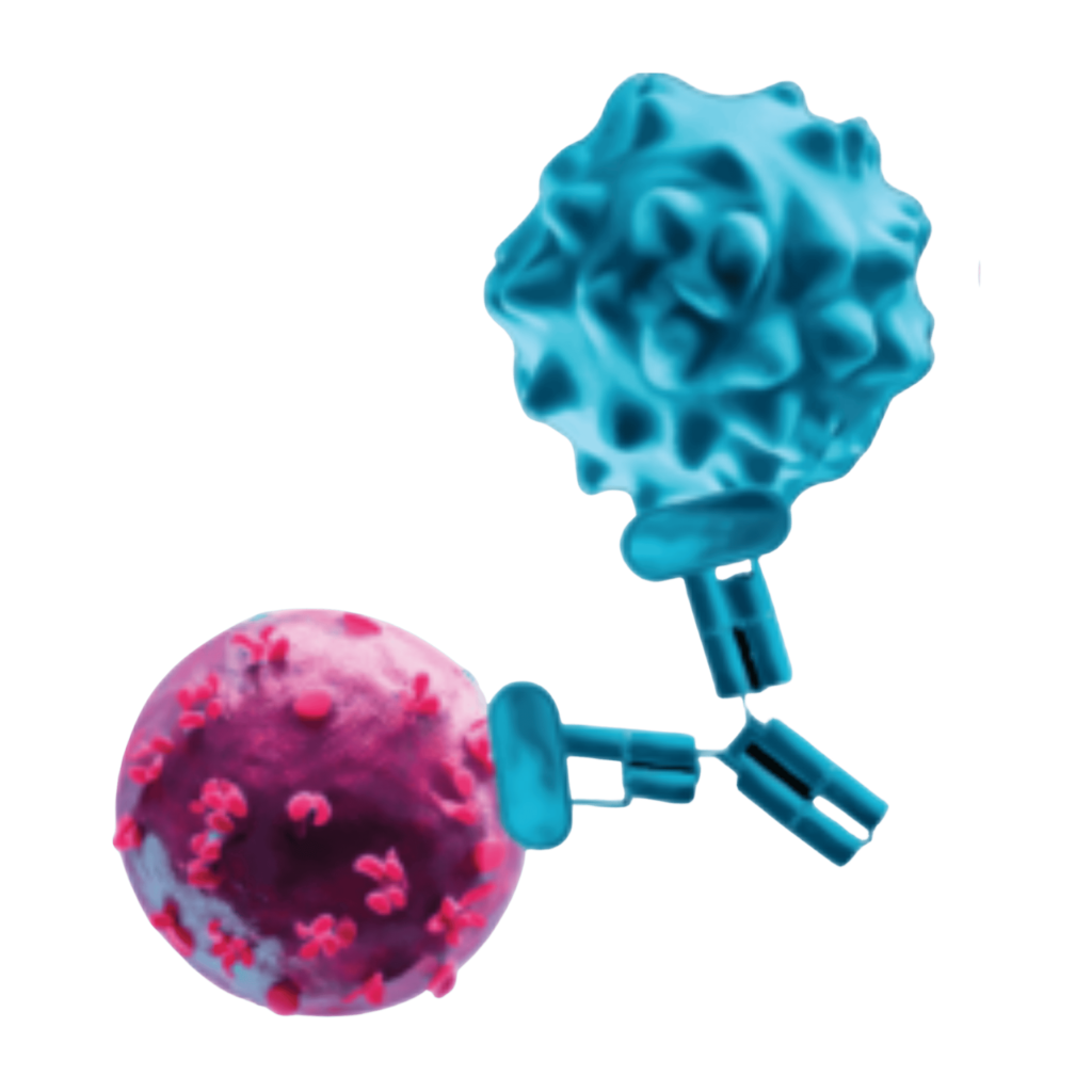 7th T-Cell Engager Therapeutics Summit